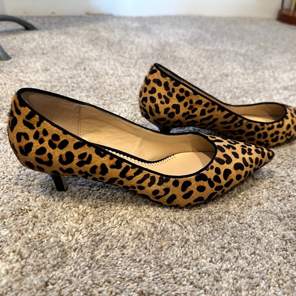 Leopard Print Kitten Heel | Size 6.5